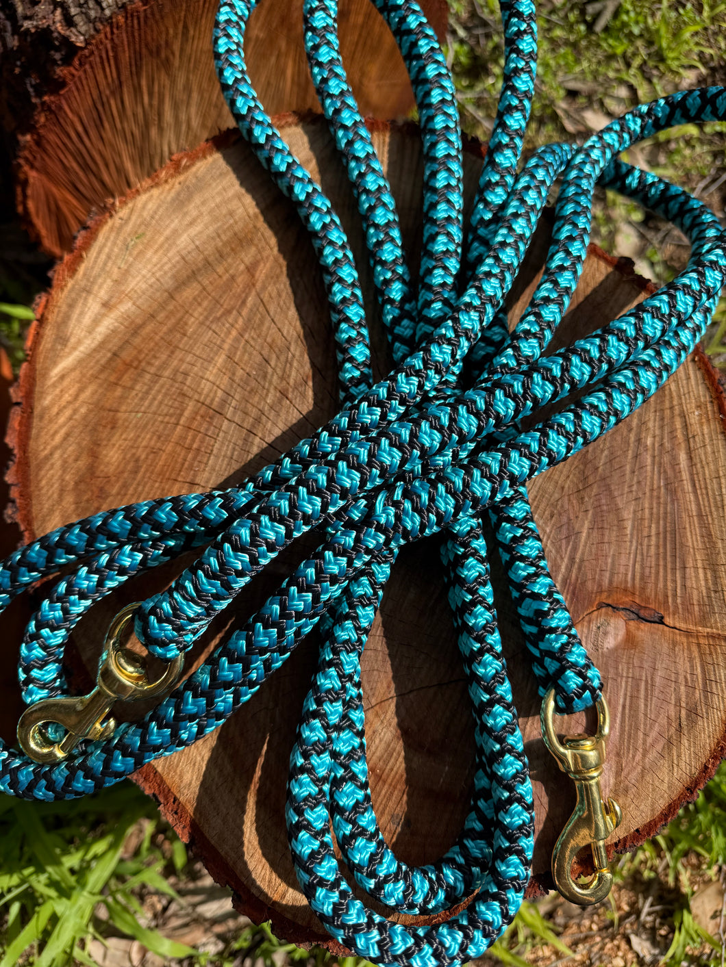 Aqua + Black Lead Rope