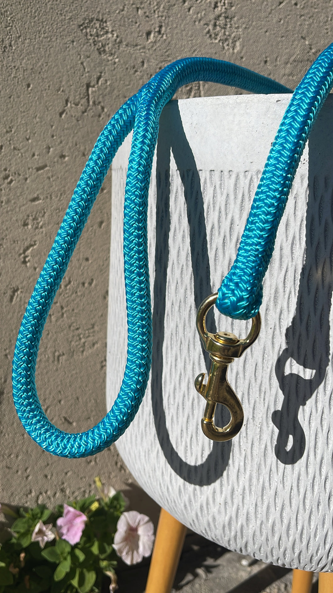 Aqua Lead Rope